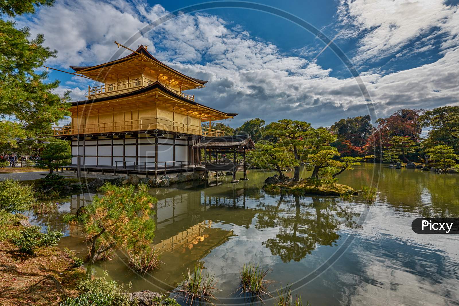 Kinkakuji Temple Golden Pavillion In Kyoto, Japan