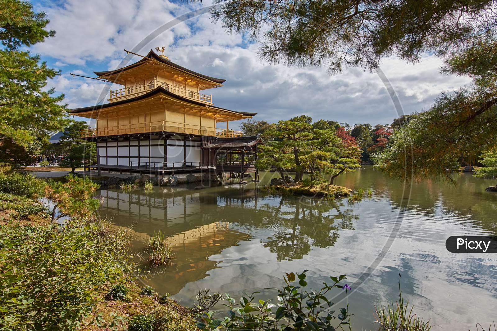 Kinkakuji Temple Golden Pavillion In Kyoto, Japan