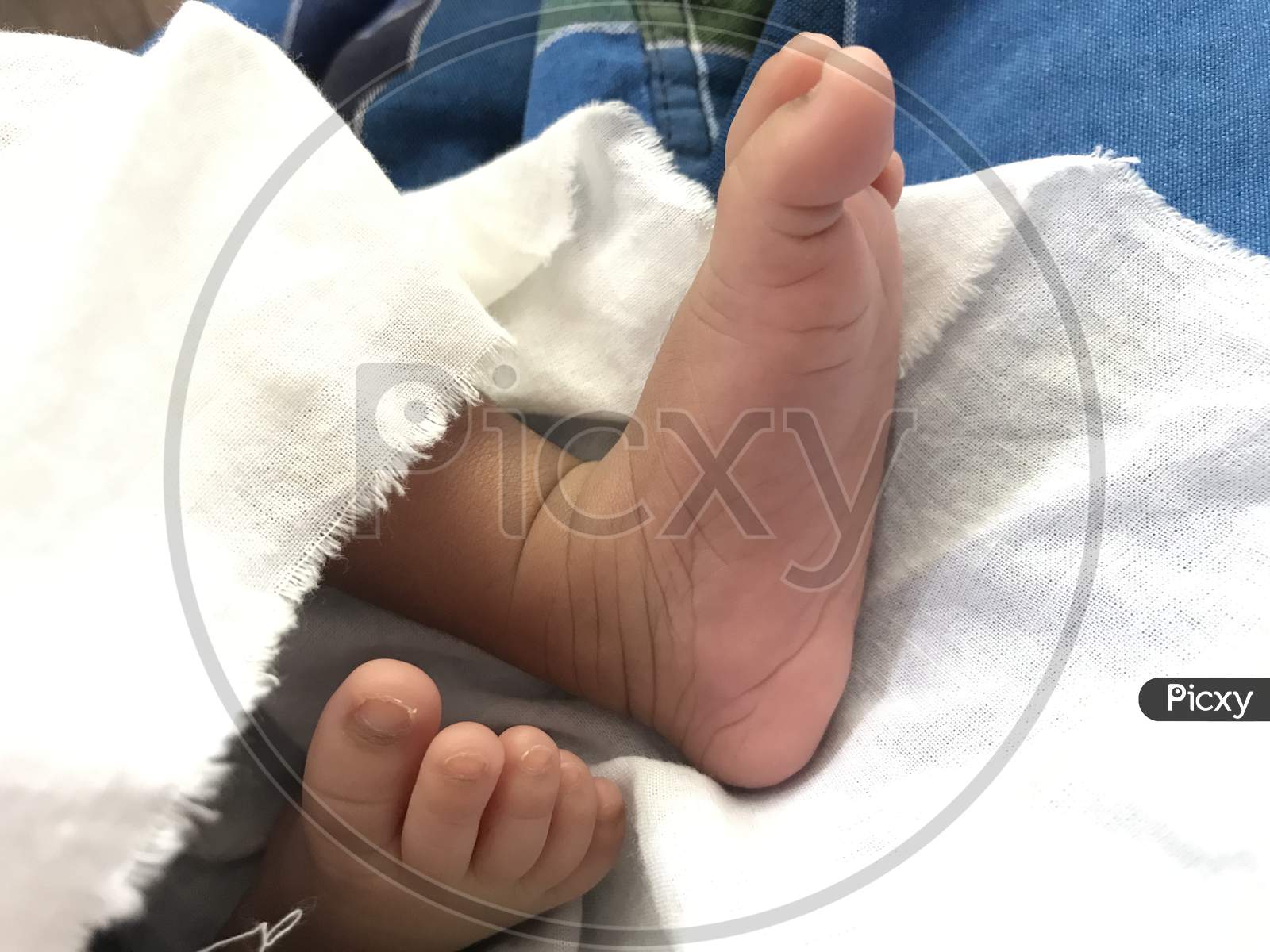 Beautiful Legs Of An Infant Closeup Image And Parents Are Happy For The New Born Baby With Healthy And Make Everyone Happy In The Family Because Heir Had Come To Rule