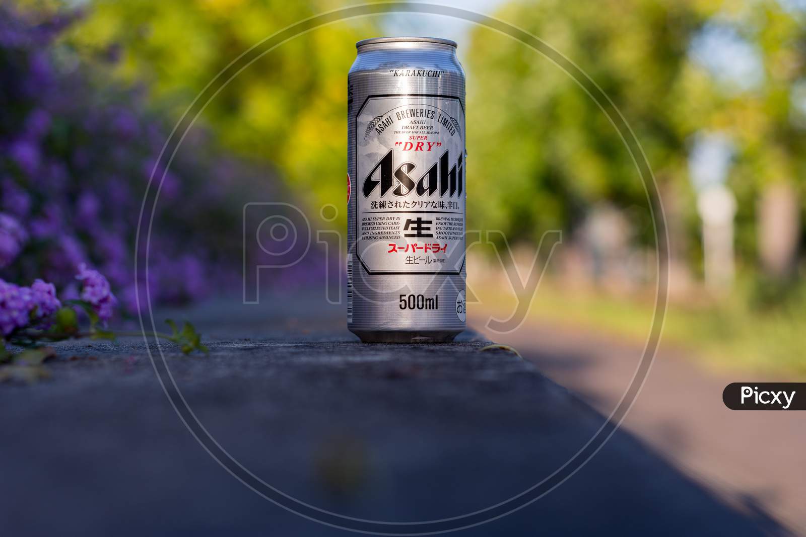 Can Of Popular Japanese Asahi Beer, In A Park