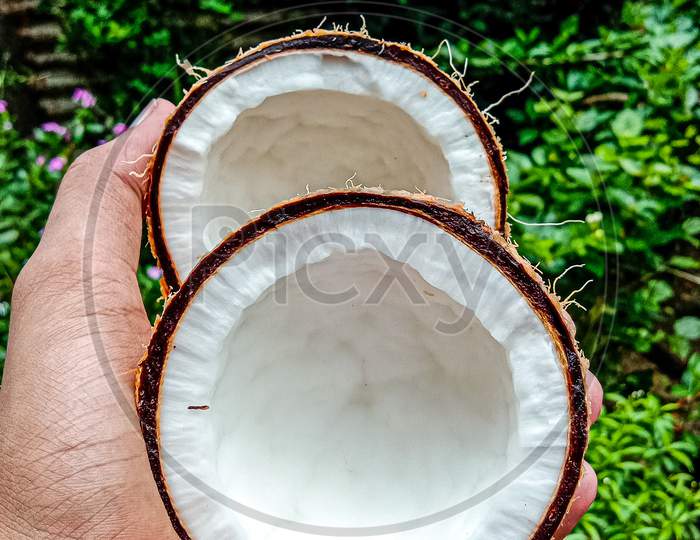 Two halves of coconut.