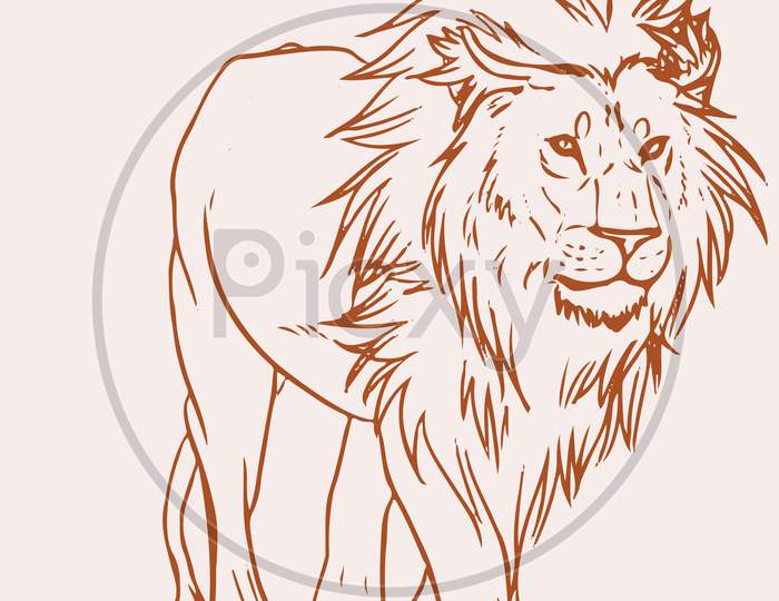 Sketch Of Male Lion Standing Outline Editable Vector Illustration