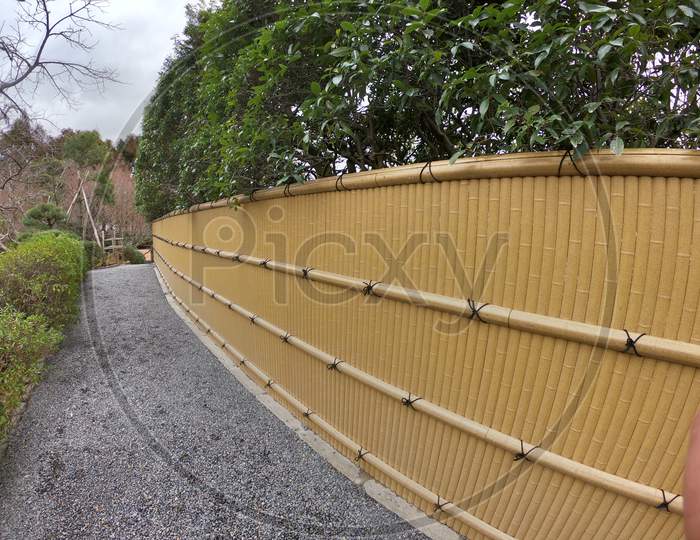 The Bamboo Wall On The Way