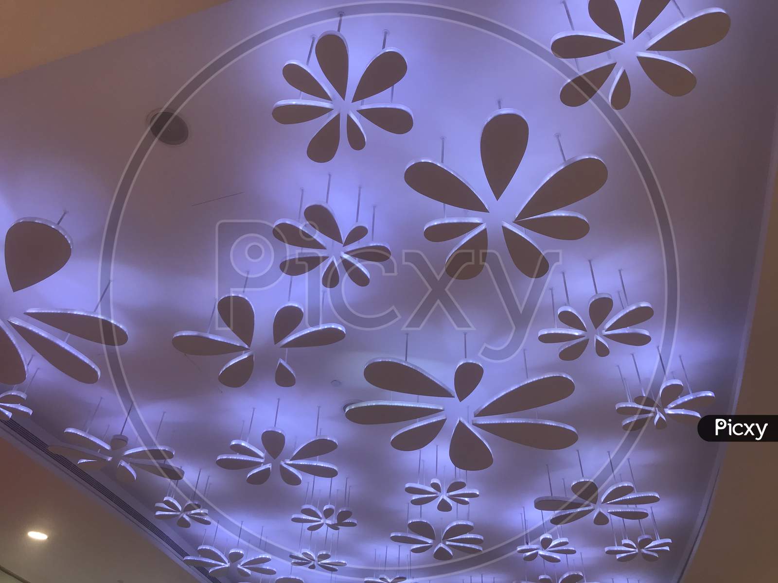 An Colorful Gypsum Suspended False Ceiling With Flower Design And