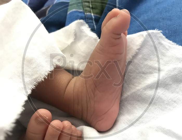 Beautiful Legs Of An Infant Closeup Image And Parents Are Happy For The New Born Baby With Healthy And Make Everyone Happy In The Family Because Heir Had Come To Rule
