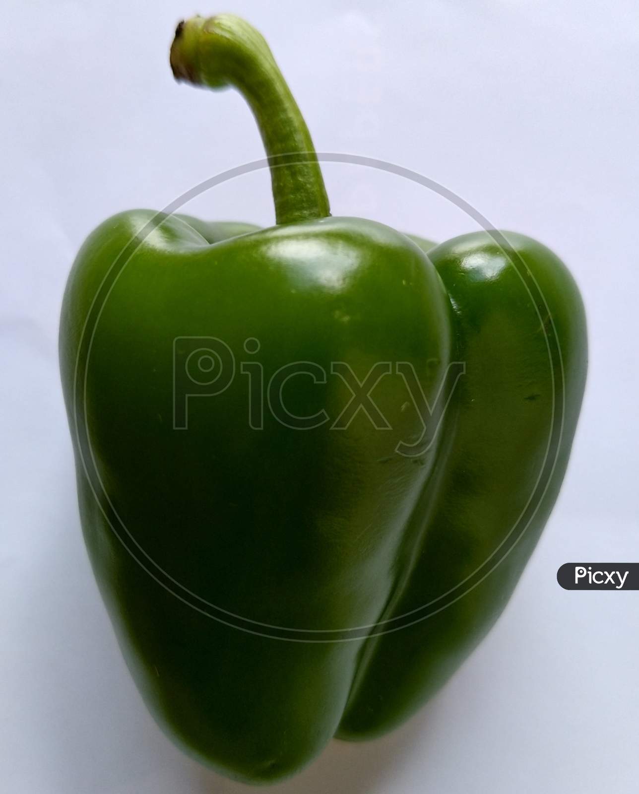Green capsicum isolated on off-white background.