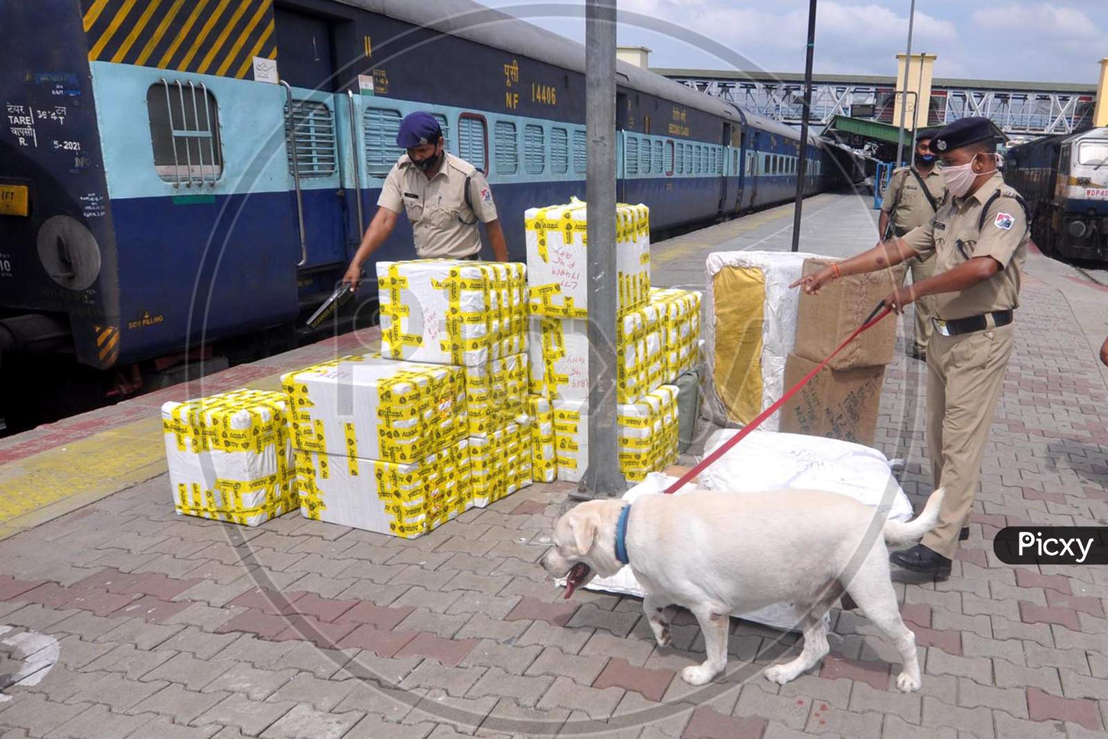 Railway Police Force (Rpf) Personnel Inspect  Platform Along With A Sniffer Dog, Ahead Of The Independence Day Celebrations, In Guwahati On Monday, Aug 10, 2020.