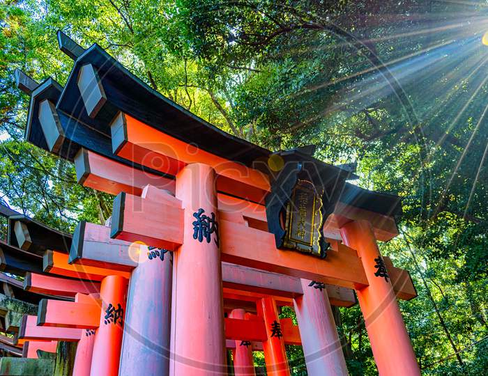 Torii Gates Of The Fushimi Inari Shinto Shrine In Kyoto, Japan