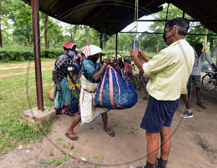 Farmers Stand In A Queue To Weigh Tea Leaves At A Tea Estate In Nagaon District Of Assam On August 8,2020.