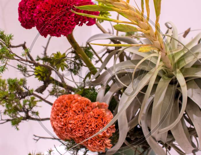 Ikebana Japanese Art Of Flower Arrangement