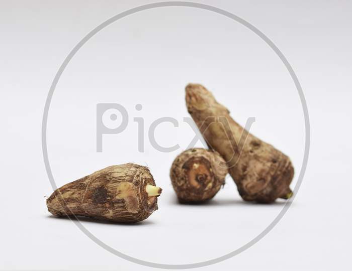 Taro Root On White Background. Colocasia Elephant Ear Plant Root Rhizome Vegetable Also Known As Arbi Or Arvi