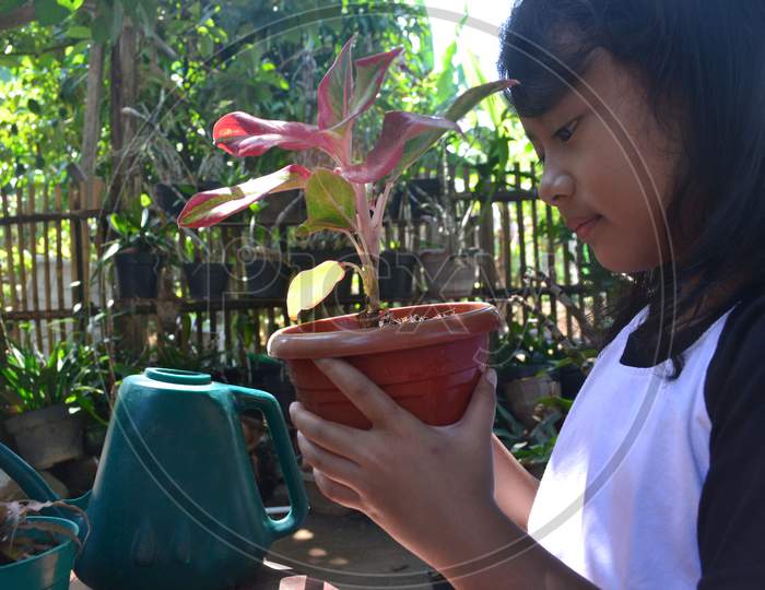 Beautiful Little Girl Sitting Holding A Potted Plant To Learn About Plant Growth