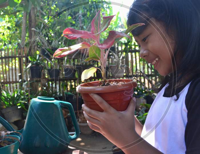 Little Asian Girl Observes Closely While Holding Potted Ornamental Plant