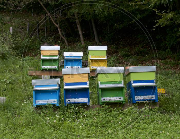 Many Colorful Beehives Near A Woodland In Capriasca Valley