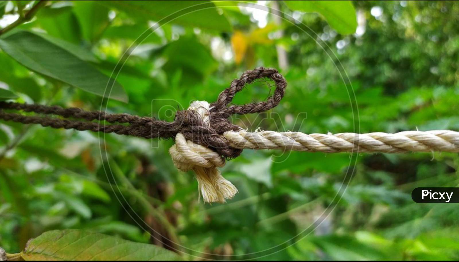 Close-up Rope fencing