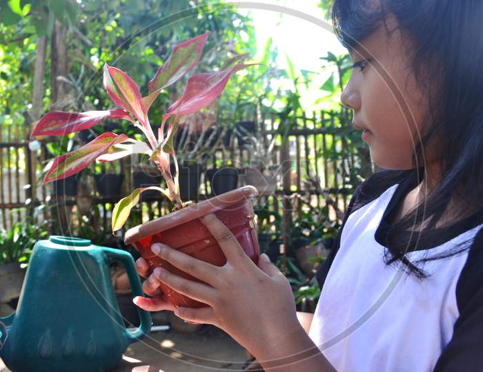 Little Girl Sit Studying To Observe Closely While Holding Ornamental Plant That Thrive In Pots