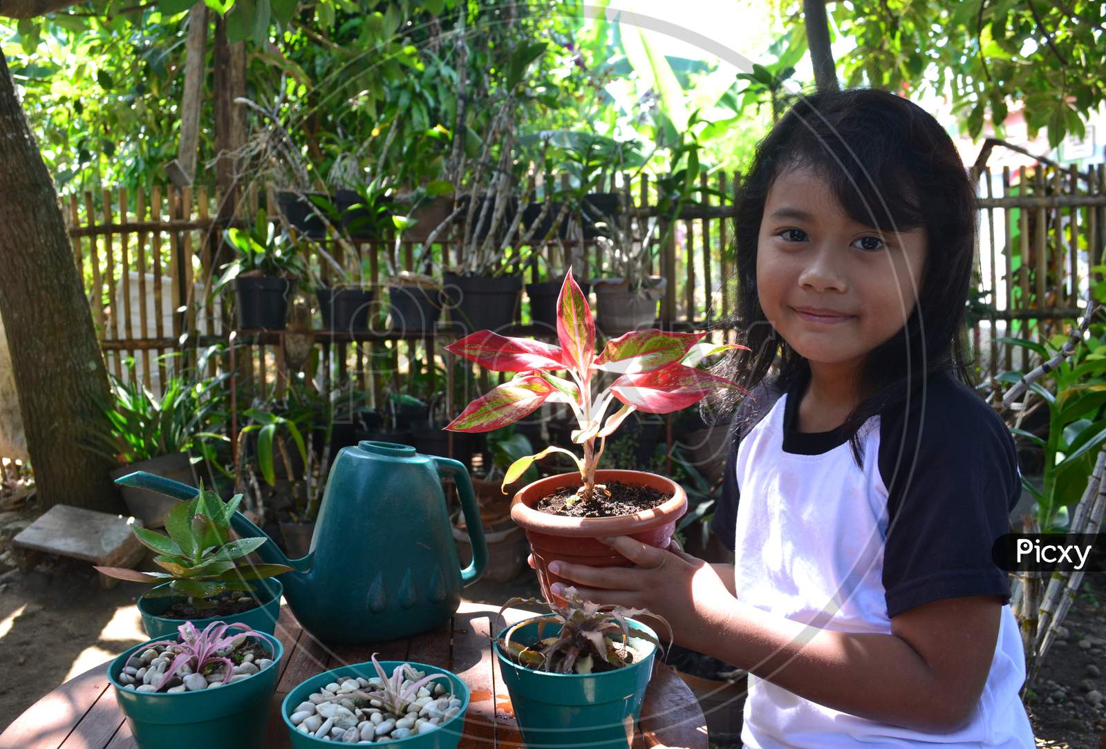 Smiling Beautiful Little Girl Sit While Holding A Potted Plant Looking At The Camera