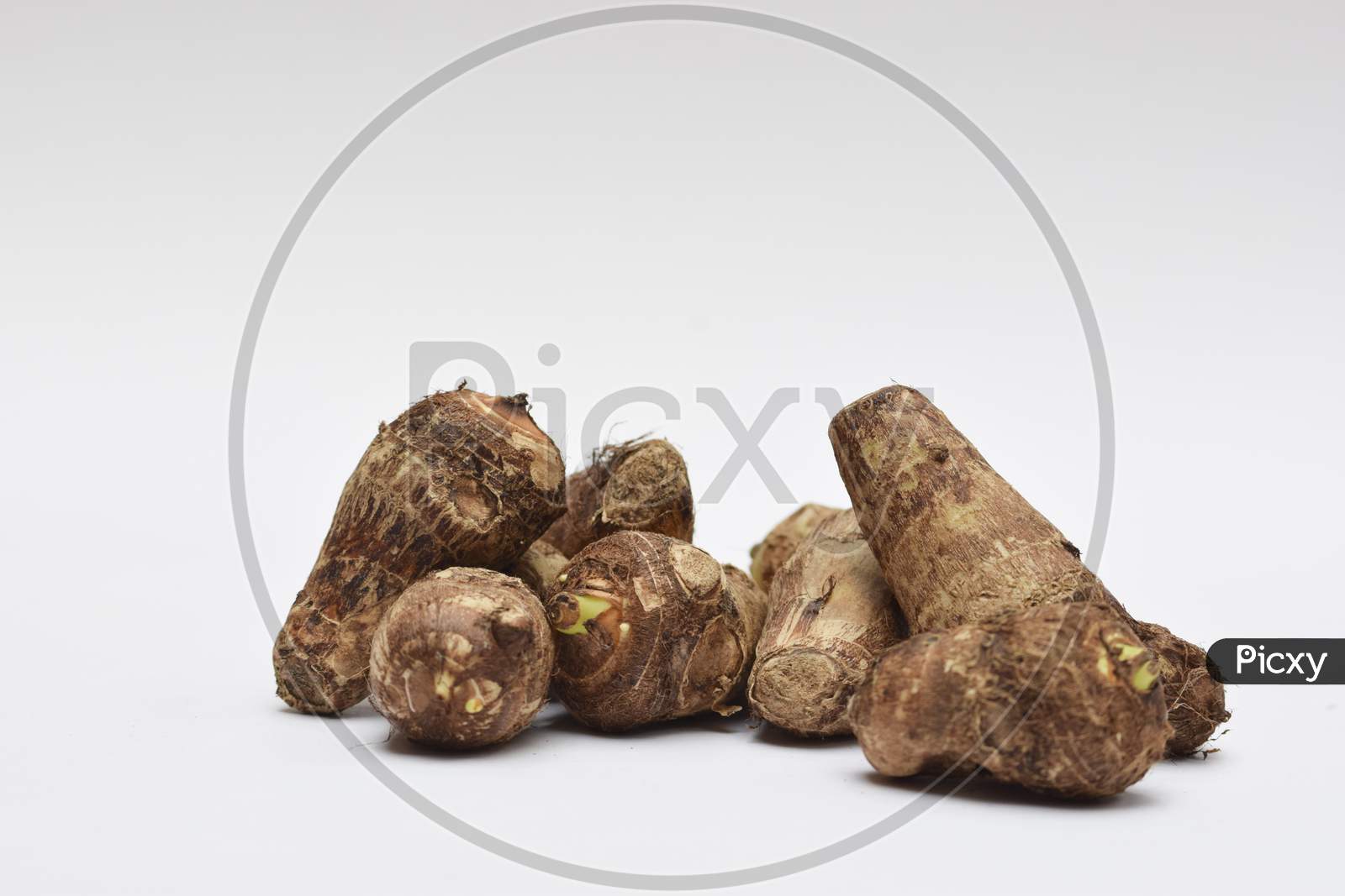Whole Taro Root Or Colocasia Esculenta Raw Root Vegetable Also Known As Arbi In India On White Background