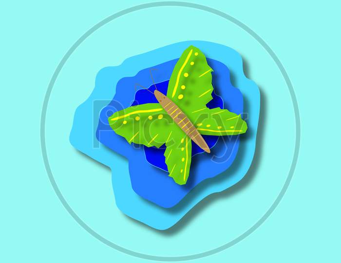 Butterfly Design Illustration