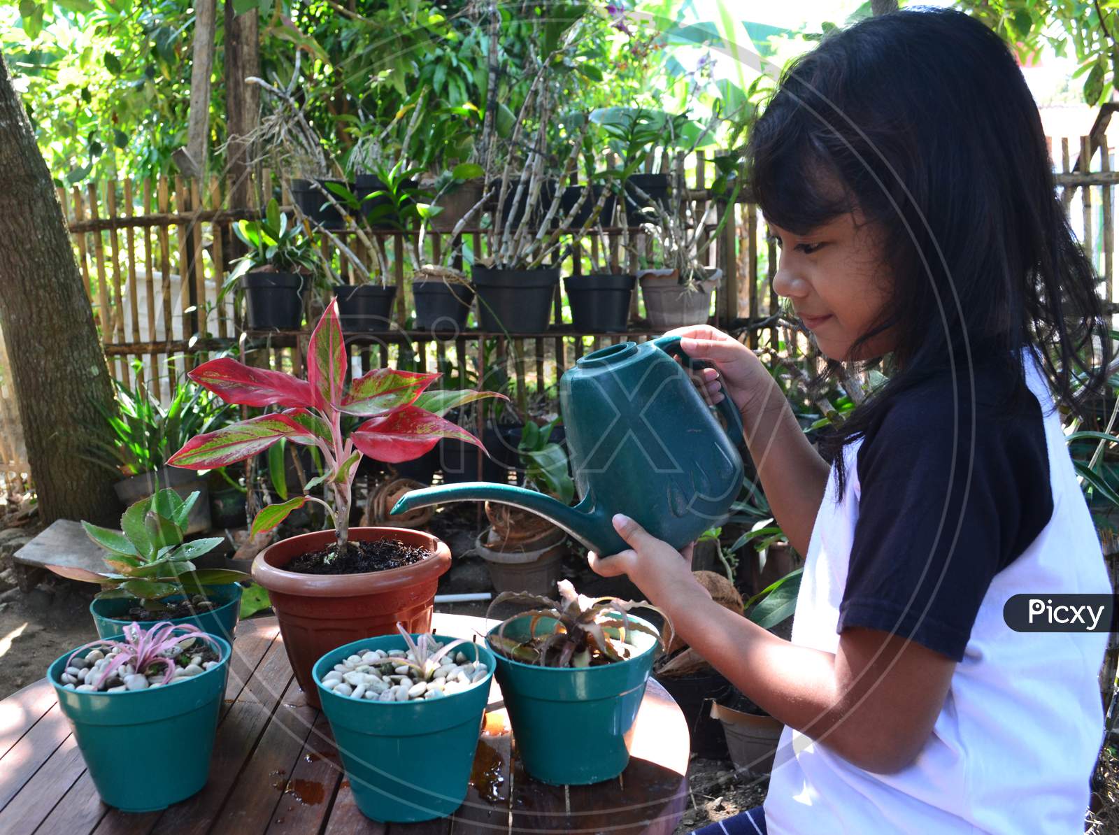 Having Fun Of Little Girl Sitting While Watering Plants In Pots