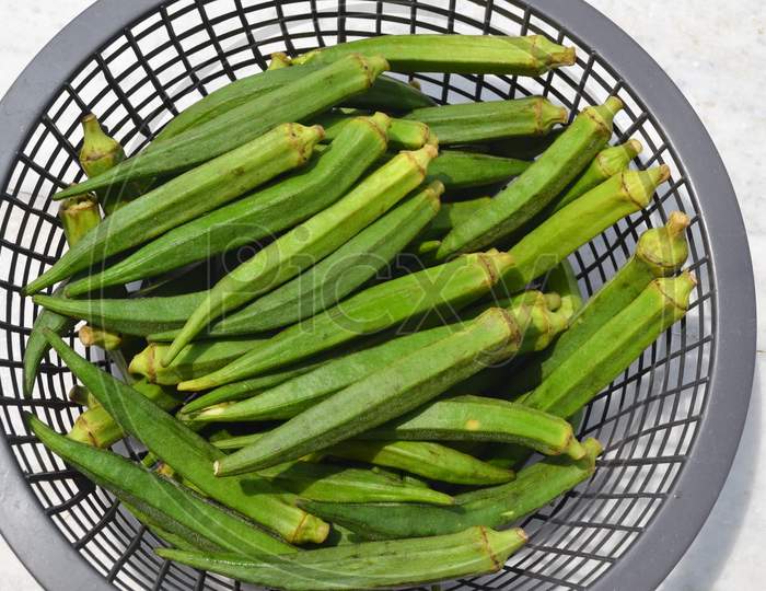 Basket Full Of Fresh And Healthy Lady Finger
