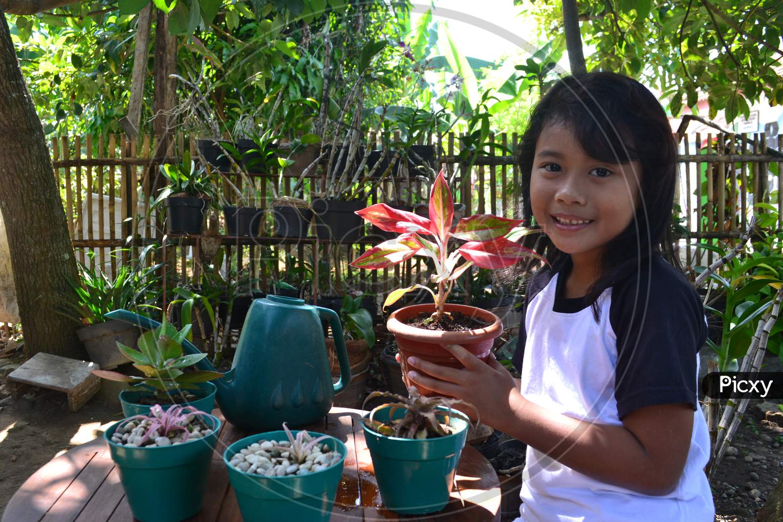 Toothy Asian Little Girl Sit While Holding A Potted Decorative Plant