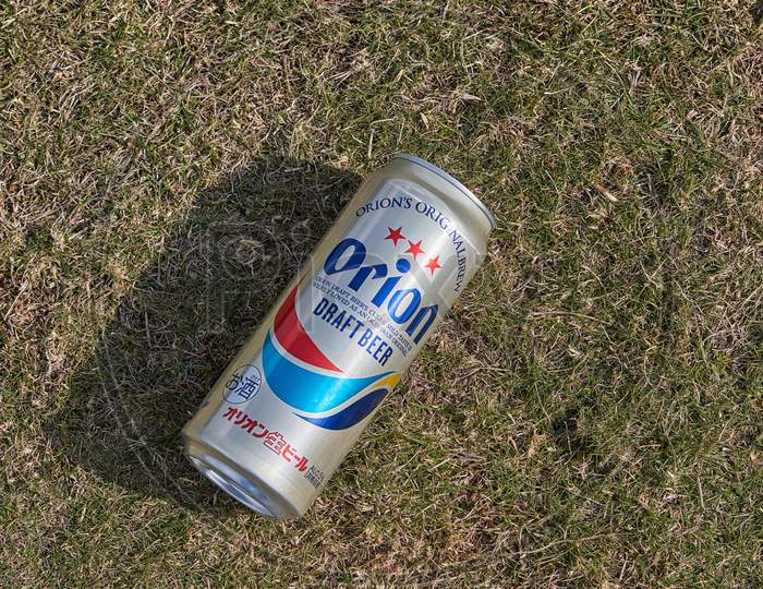 Can Of Orion Beer, Popular Okinawa Beer, Laying On A Lawn
