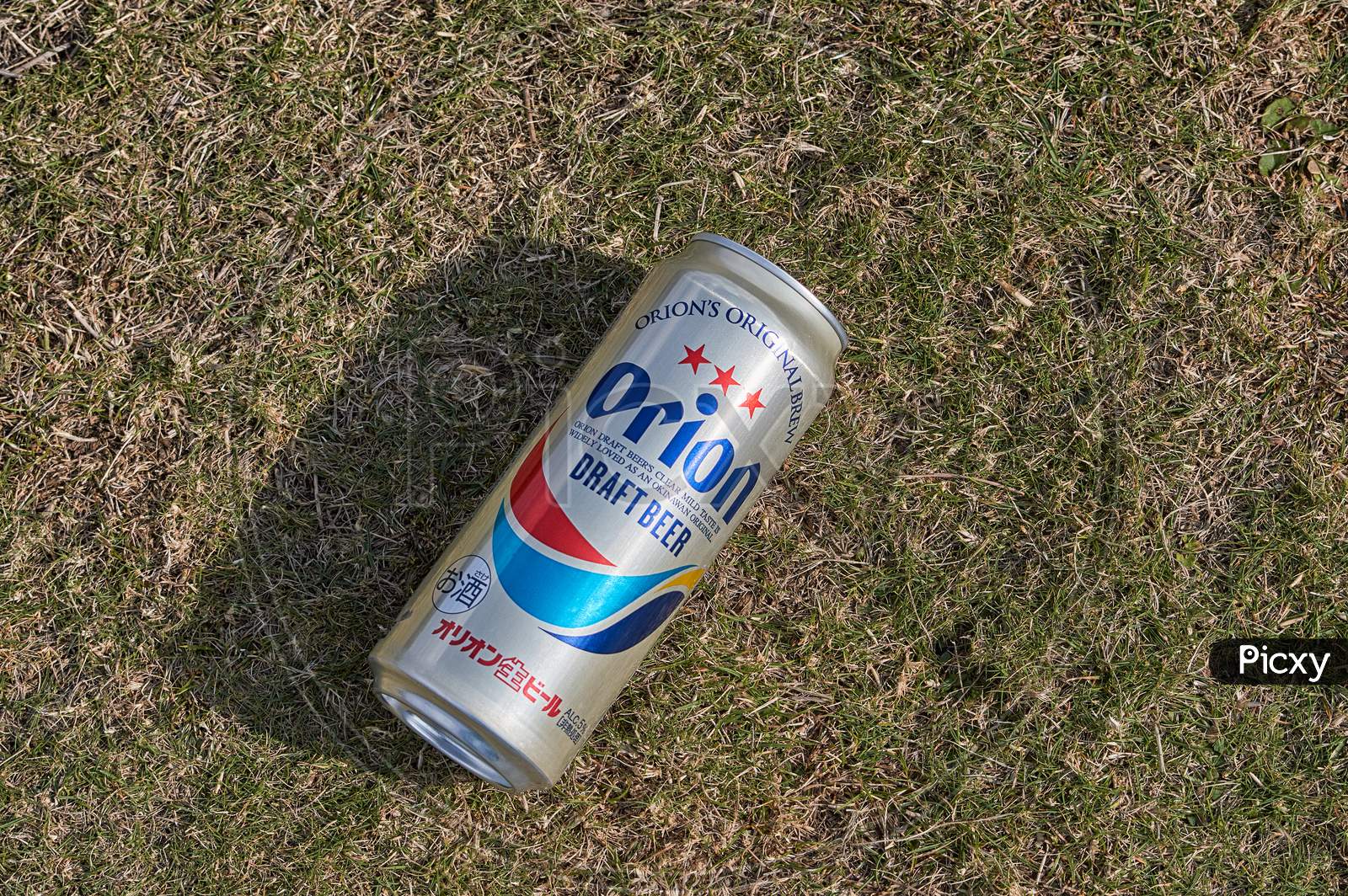 Can Of Orion Beer, Popular Okinawa Beer, Laying On A Lawn