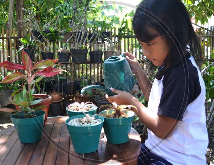Asian Little Girl With Hobby Of Gardening Watering The Plants With A Watering Can