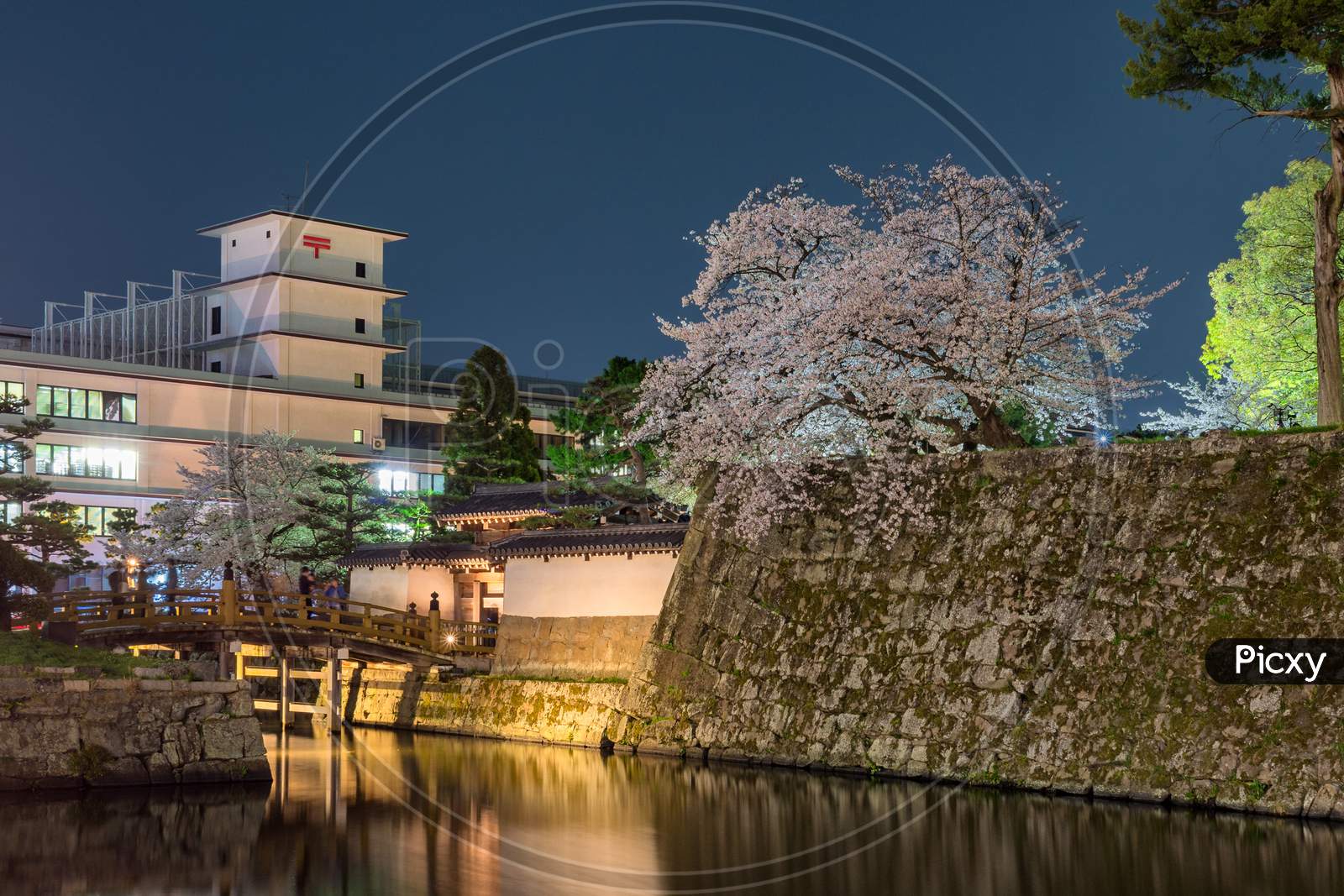 Entrance To The Wakayama Castle With Cherry Blossoms In Wakayama City, Japan