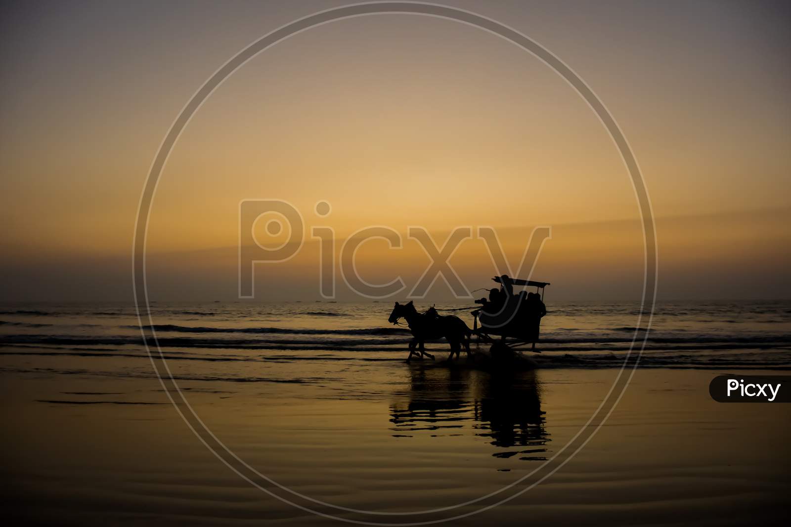 Silhouette Of A Horse Cart Running Through Water At Nagaon Beach In India
