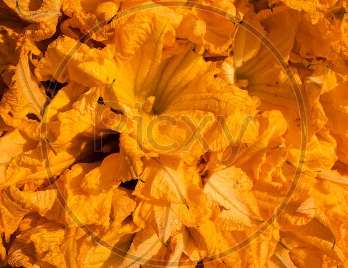 Pumpkin Flowers In A Vegetable Market For Selling