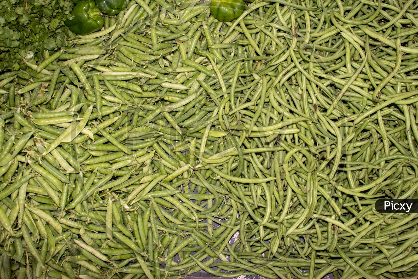 Heap Of Green Bean And Pea In An Indian Vegetable Market For Selling