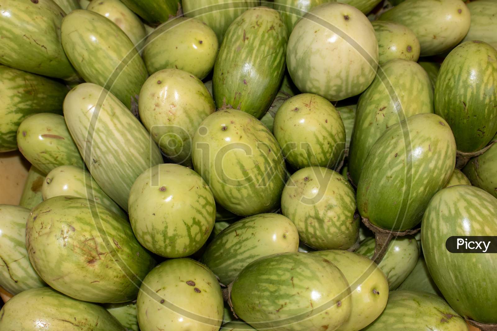 Organic Eggplant In An Indian Vegetable Market For Selling