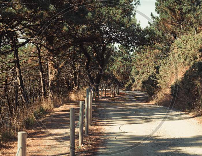 The Path Near The Coast In Spain