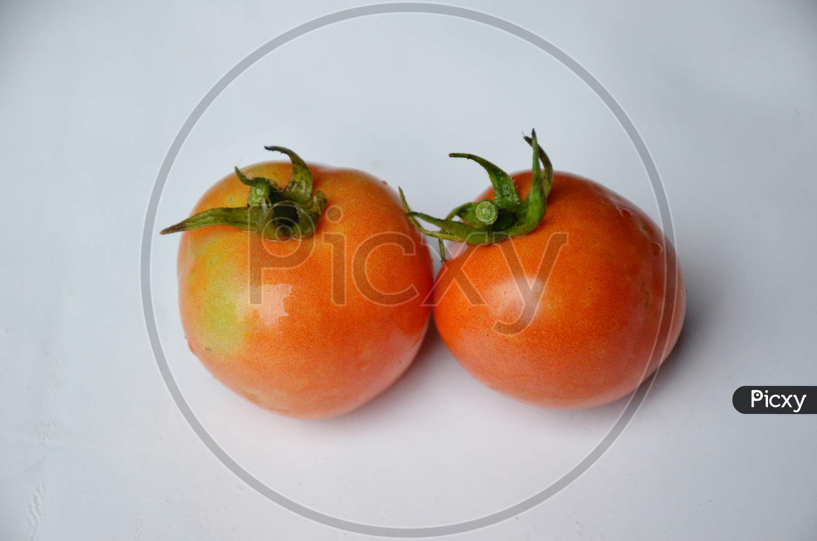 Red Ripe Tomato Isolated On White Background.