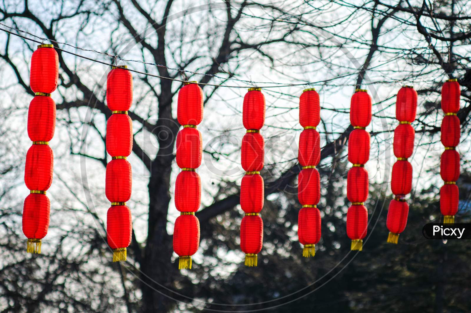 Chinese Lunar New Year Red Lanterns Decorations In Belgrade Fortress, Serbia
