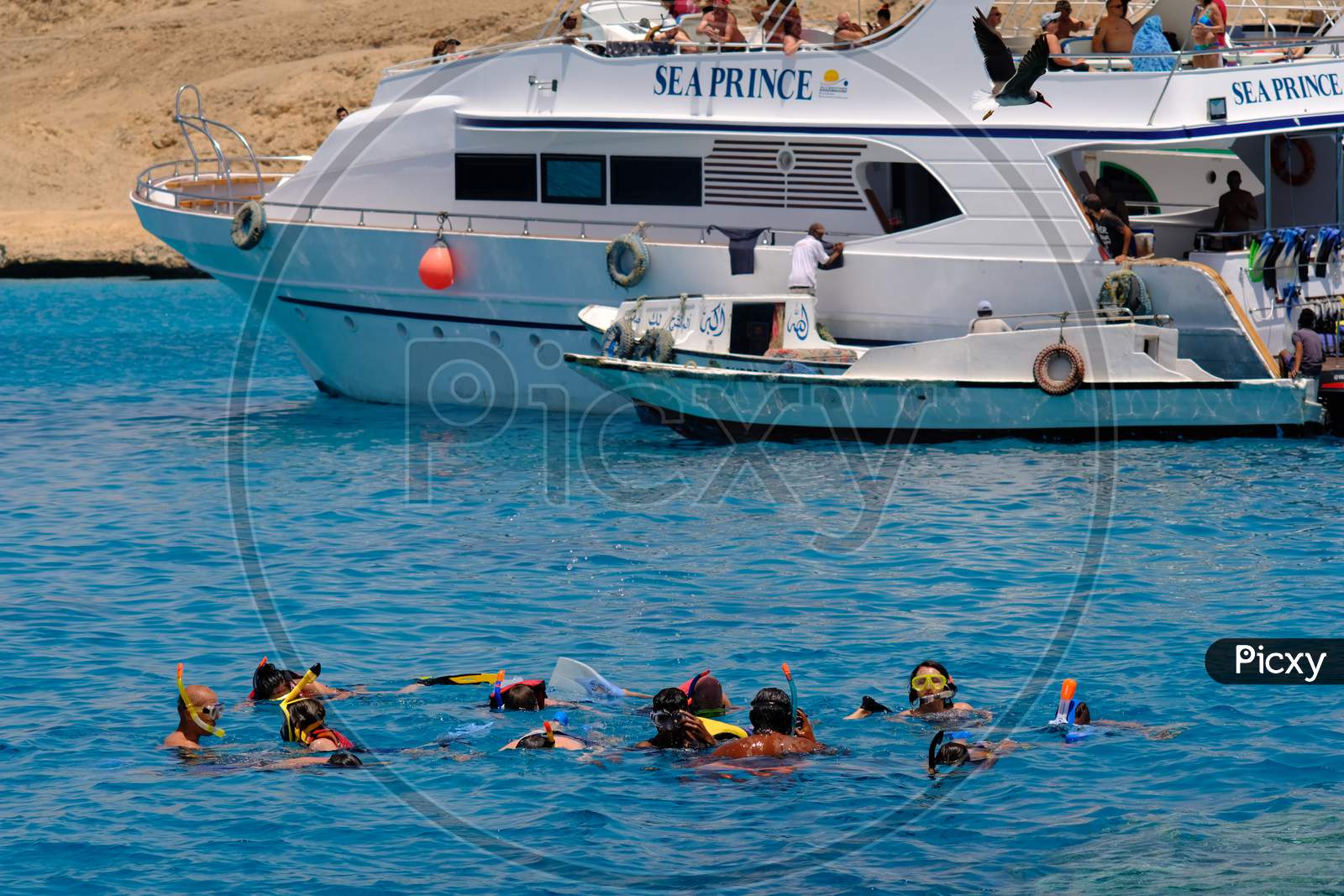 Group Of Tourists Snorkeling And Scuba Diving Near Giftun Island In Red Sea, Hurghada, Egypt
