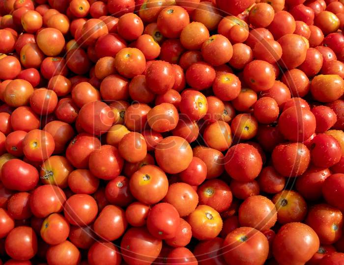 Red Tomatoes With Water Droplets In A Vegetable Market For Selling, Perfect For Wallpaper And Background