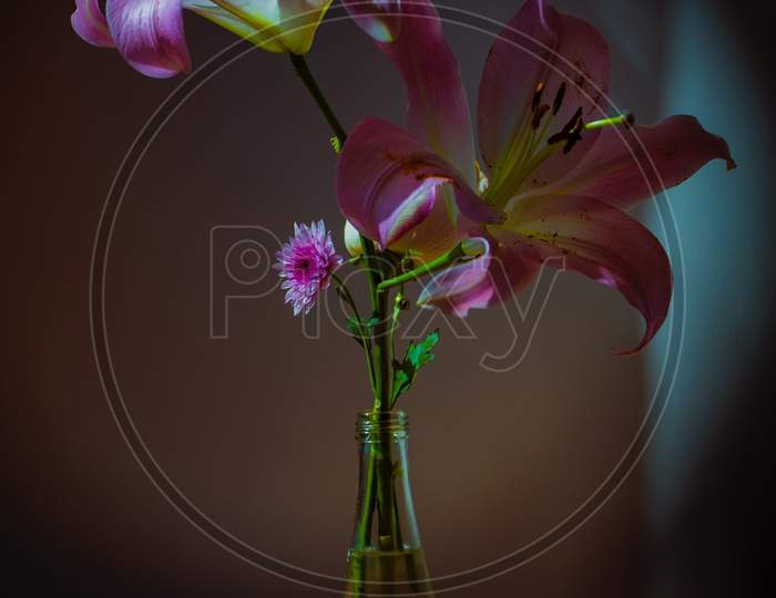 Flower in a vase on the table