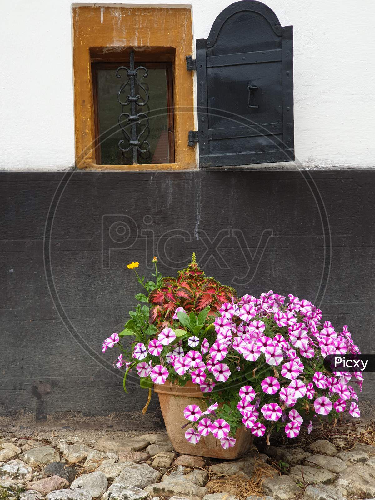Small Basement Window, Flowers In Front, Rimetea