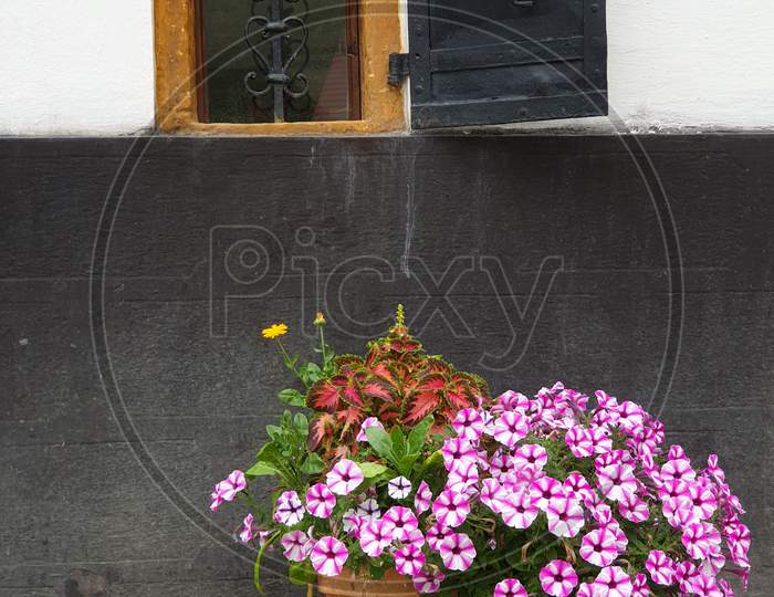 Small Basement Window, Flowers In Front, Rimetea