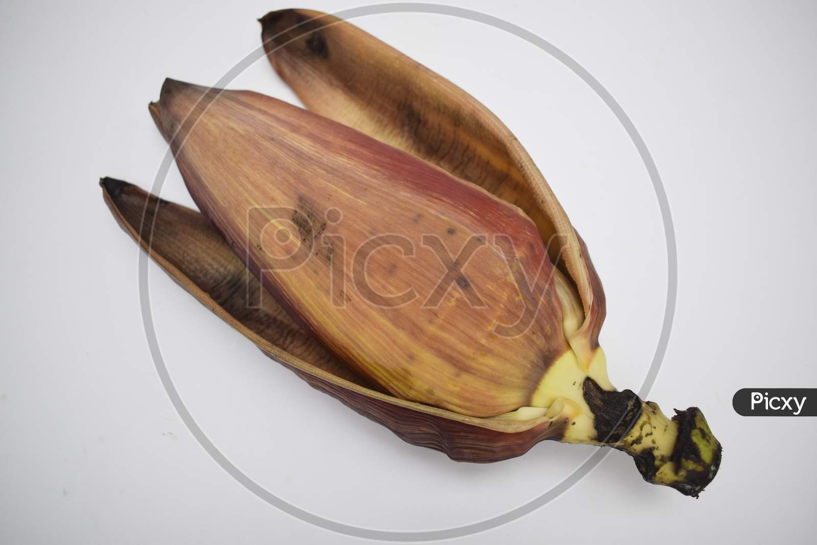 Raw Banana Flower Opened Leaves On White Background. Also Known As Banana Blossoms Eaten In Cuisine Cooked In South Asia