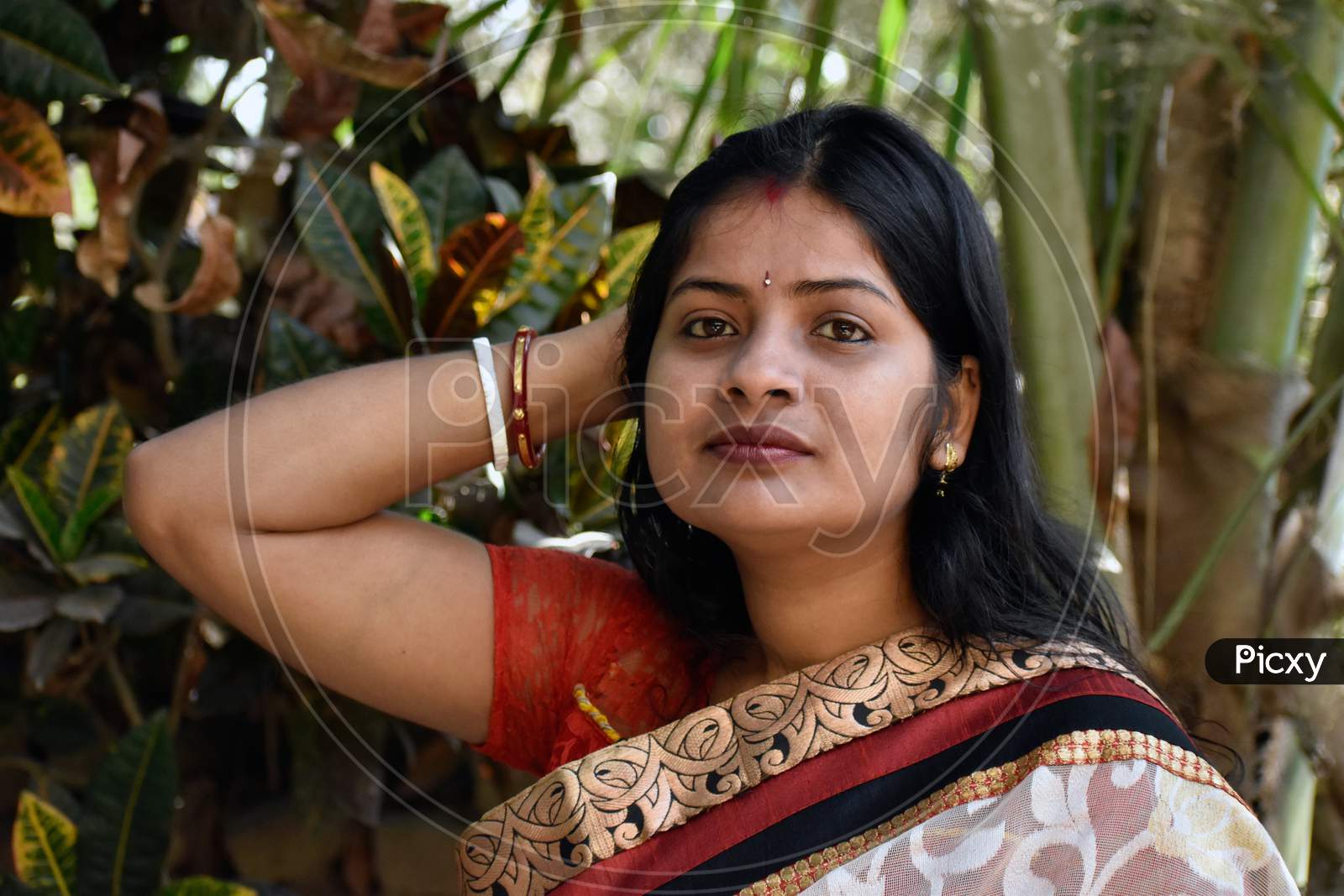 The Indian Housewife In The Casual Clothing On A Forest Background
