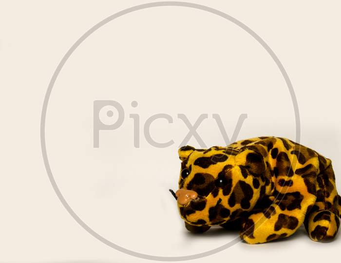 Stuffed Leopard Soft Toy Isolated On A Plain White Background
