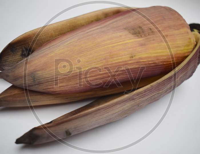 Single Banana Flower Isolated On White Background From Asia