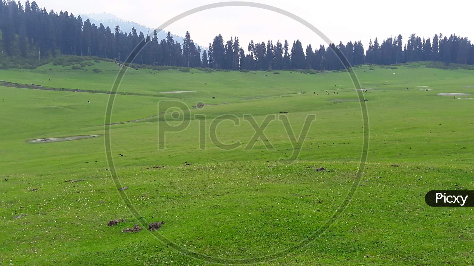 Landscape Green Beauty Paddy Fields,  Nature Landscaping. Plants Green Lands And Crop Fields Looks Beautiful Summer And Spring Time . Greenery, Water, Hills. Sky, Sun And Clouds In Natural Beauty.