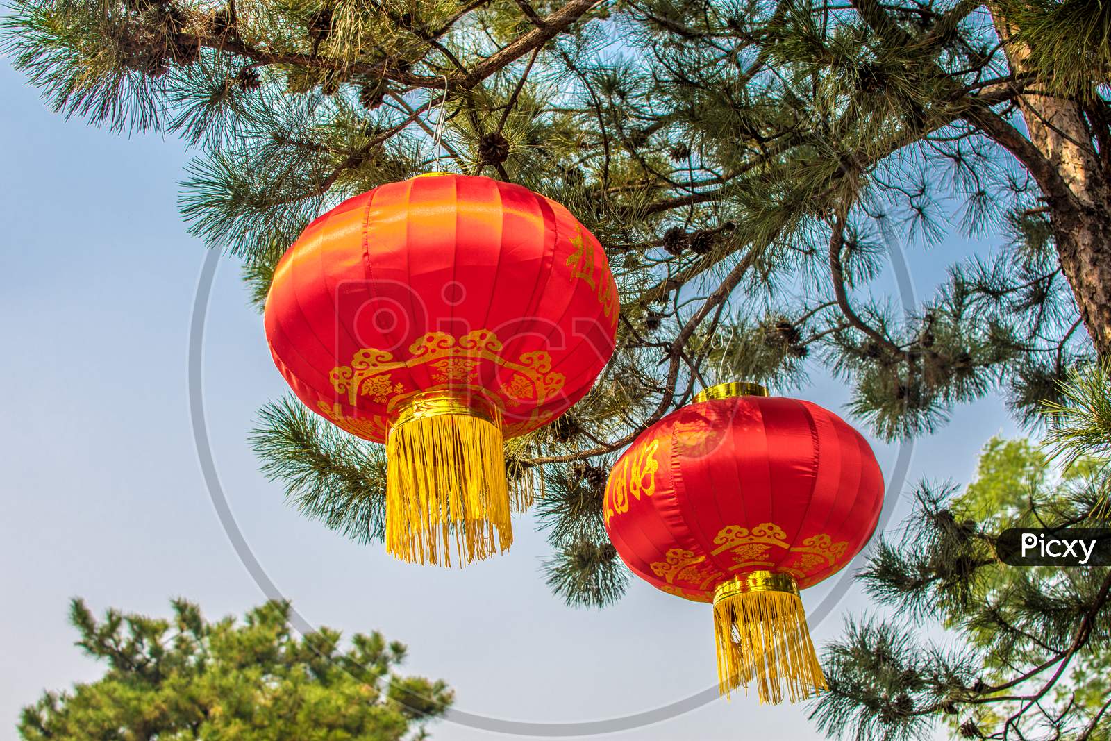 Red Lanterns Hanging In Beijing, China, Celebration Of Lunar New Year