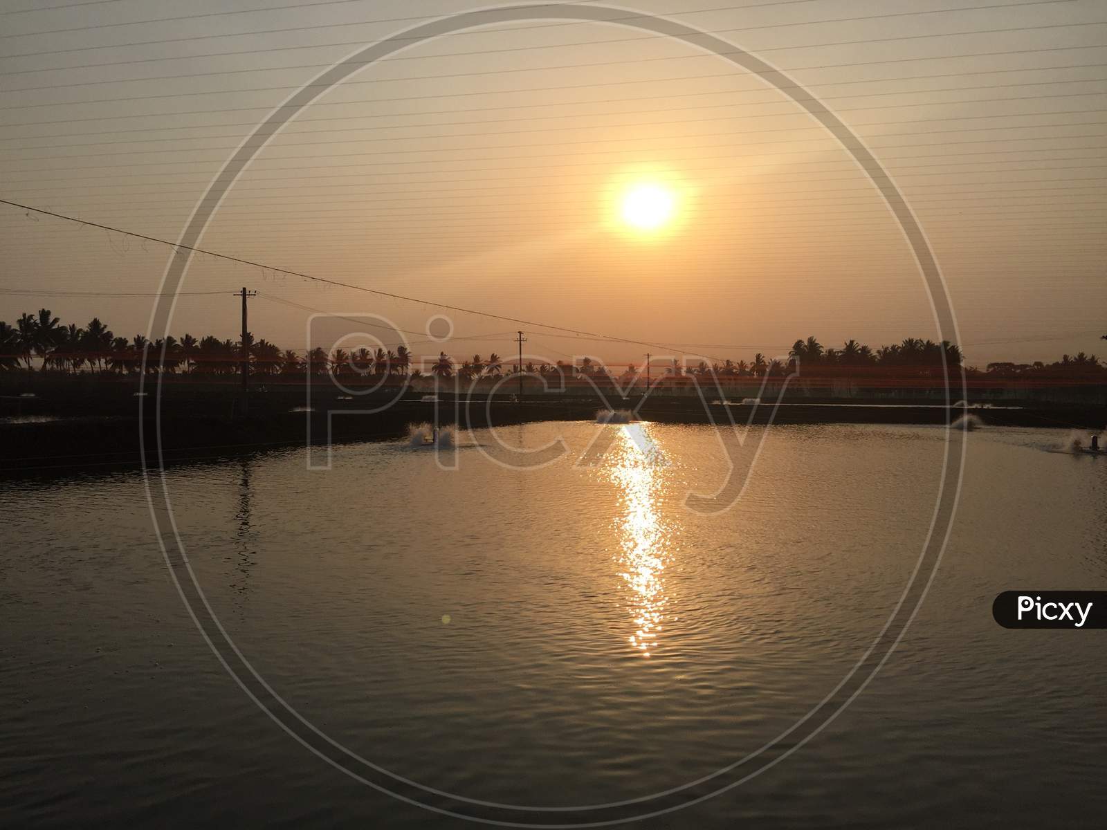 Sun rays of sun set reflecting in water at an aquaculture form