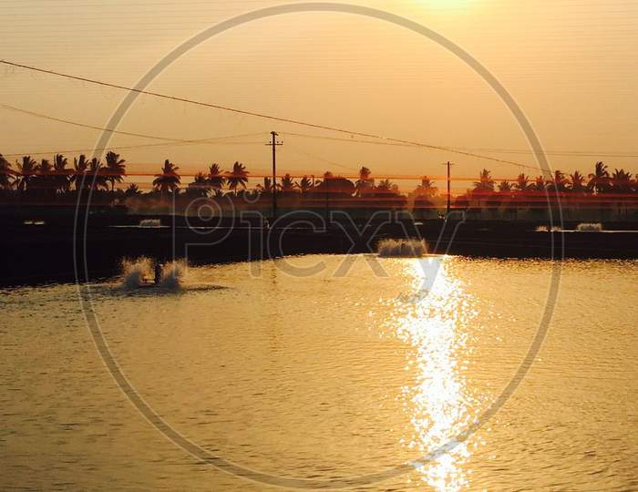 A view of sunset reflecting in pond water of aquaculture with Areator’s